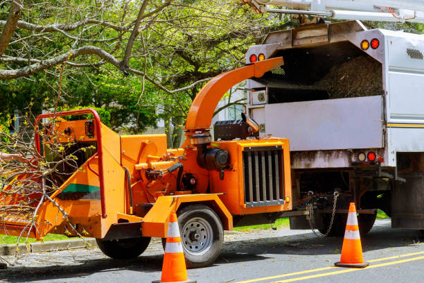 Leaf Removal in Lexington, IL